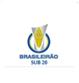 Brazil trẻ