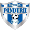 ACS Viitorul Pandurii Targu Jiu II