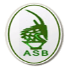 AS Bamako